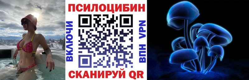 Псилоцибиновые грибы GOLDEN TEACHER  Купить закладки  Коммунар 